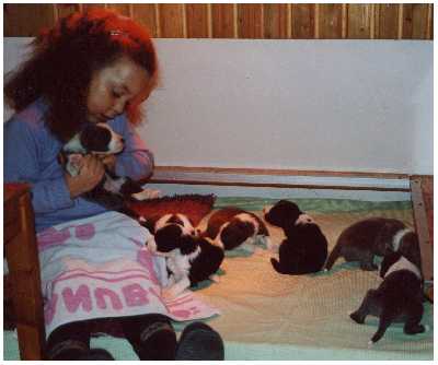 Klein-Frauchen bei der Welpenerziehung