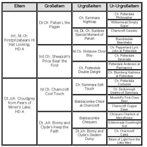 Die Vorfahren der Welpen