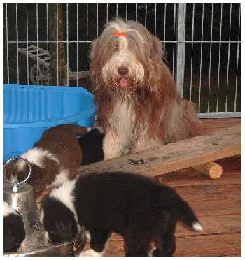 Kayleigh kontrolliert, ob die Babies brav aufessen