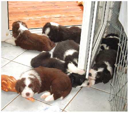 Drau&szlig;en ist's uns zu warm!