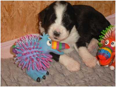 Huch, wer seid denn ihr