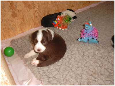 Unsere kleinen Knetm&auml;nnchen aufgewacht