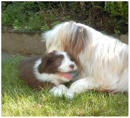 Bo und Klein-Basics beim Kuscheln