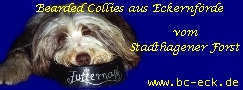 Bearded Collies aus Eckernf&ouml;rde