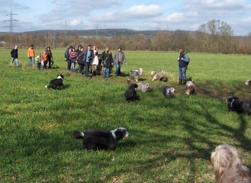Unterwegs bei strahlendem Fr&uuml;hjahrswetter