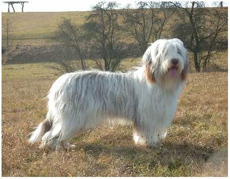 B&ouml;schen mit 14 Monaten, ganz natura