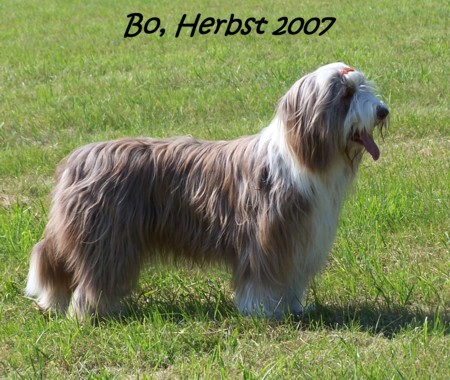Bo, Herbst 2007