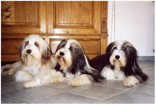 Yuma mit zwei T&ouml;chtern