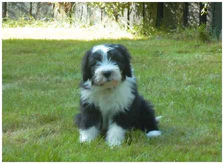 Wir waren bei Buffy zu Besuch