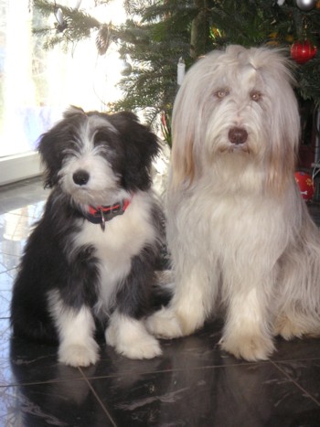 Cappuccina und Deleilah