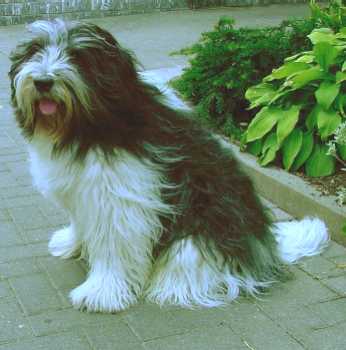 Charlie