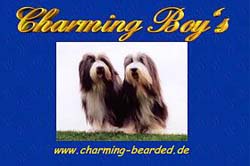 Die HP von Marian und Marita Liss &uuml;ber ihre Beardies Dexter und Mr Marlow