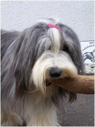 So, jetzt schickt's mit der Knipserei!