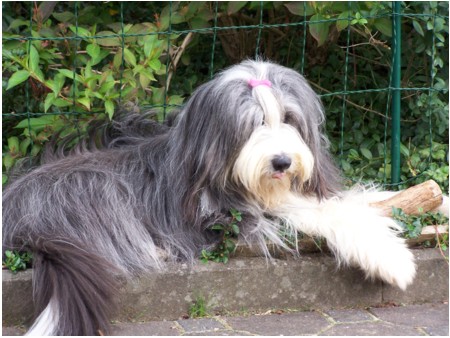 B&auml;h - streckt da etwa jemand die Zunge raus ;-))