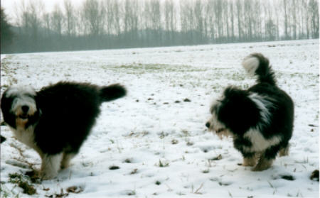 Yuma mit Crispian