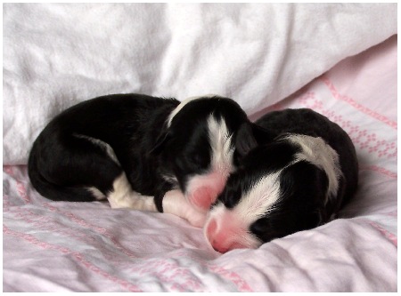 Zuerst die beiden Jungens