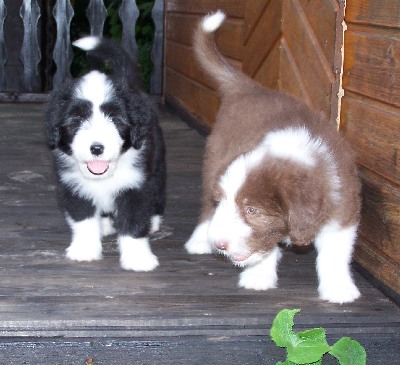 Leila und Dawna