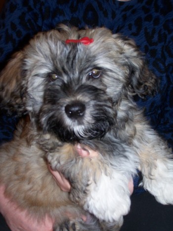 Doodle Kindergartenkind - die Schleife passt auch schon ;-)