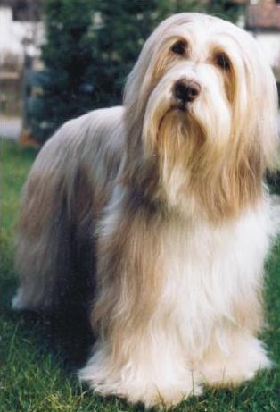 Farah of Wild Garden