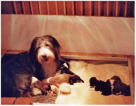 Mama Franca mit ihren s&uuml;&szlig;en Kleinen