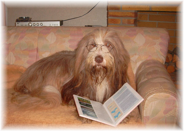 Prof. Mops
