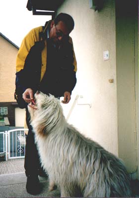 Da f&auml;llt immer etwas ab.