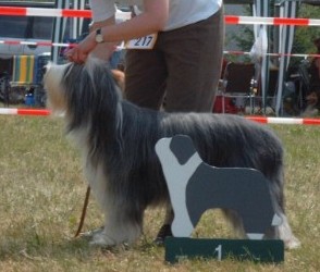 Yuma mit 2 Jahren
