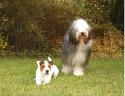 Joey und Yuma
