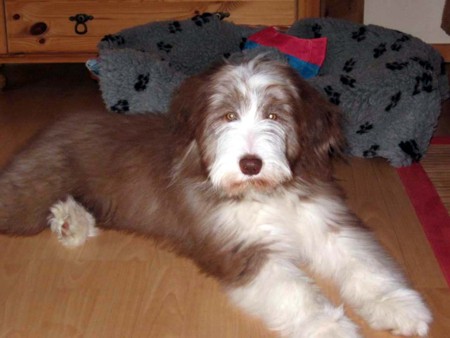 Bei solchen Augen muss man einfach dahinschmelzen