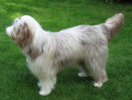 und Jule von der Seite ;-)