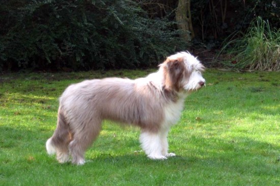 Jule genie&szlig;t die erste Fr&uuml;hlingssonne