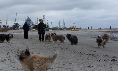 Damp bei steifer Brise