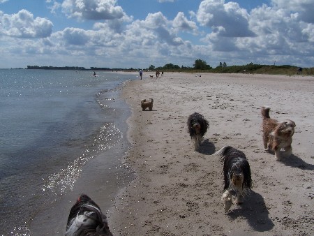Strandparadies