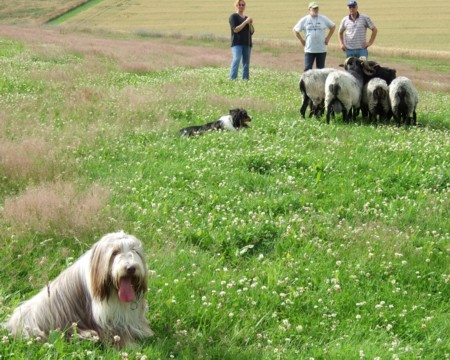 Mach' du mal weiter, Fizz ;-)