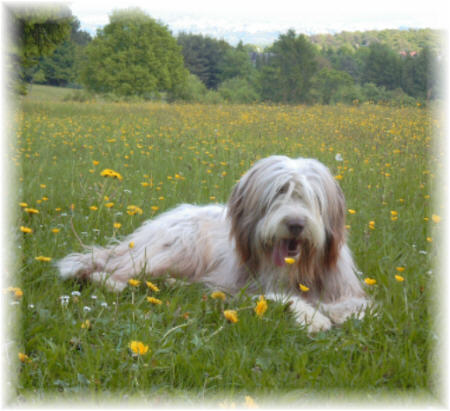 Kayleigh als Teenie, Mai 2003