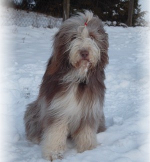 Kayleigh im Januar 2004