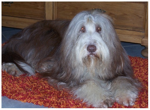 Kayleigh im Januar 2006