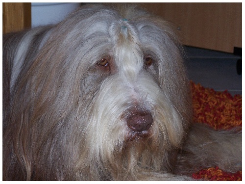 Ein Kayleigh-Portrait/Januar 2006