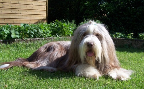 Kayleigh - Knutschschn&auml;uzi