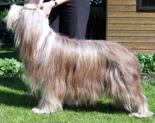 Und noch einmal Kayleigh - von der Seite