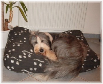 Leann beim Entstressen auf dem hei&szlig;geliebten Snoozee