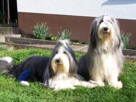 Leann, M&auml;rz 2007, mit Kind