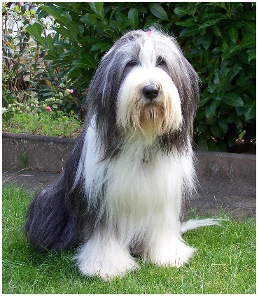 Leann etwas gelangweilt vom Fotoshooting, August 2005