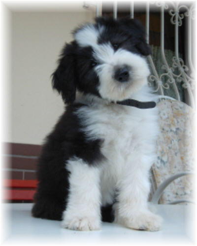 Leann zuhause angekommen