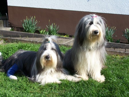 Coco mit ihrer Mama Leann, M&auml;rz 2007