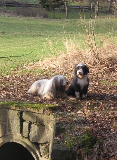 Deleilah und Canice, Coco's Bruder