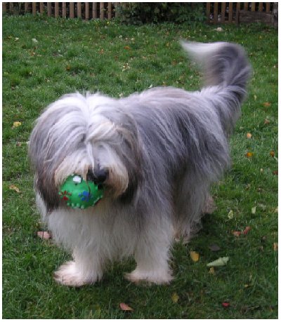 Nele, mit ca. einem Jahr