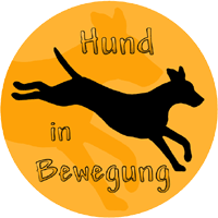 Hund in Bewegung