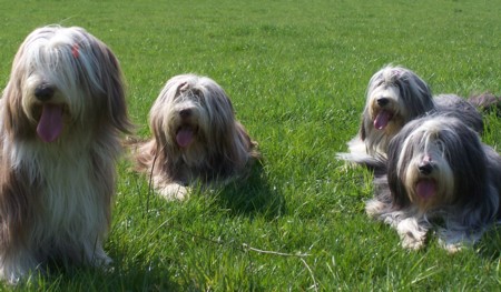Girlies