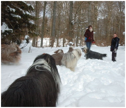 Winterpanorama